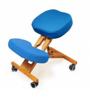 Коленный стул Smartstool KW02 + Чехлы в Златоусте - zlatoust.mebel-74.com | фото