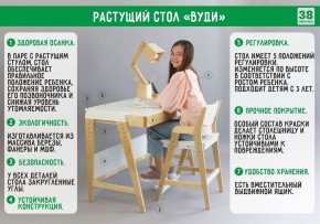 Комплект растущий стол и стул 38 попугаев «Вуди» (Серый, Без покрытия) в Златоусте - zlatoust.mebel-74.com | фото
