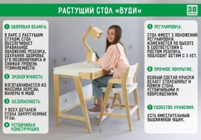 Комплект растущий стол и стул с чехлом 38 попугаев «Вуди» (Белый, Белый, Салют) в Златоусте - zlatoust.mebel-74.com | фото