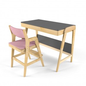 Комплект растущий стол и стул с чехлом 38 попугаев «Вуди» (Серый, Береза, Розовый) в Златоусте - zlatoust.mebel-74.com | фото