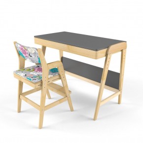 Комплект растущий стол и стул с чехлом 38 попугаев «Вуди» (Серый, Без покрытия, Мечта) в Златоусте - zlatoust.mebel-74.com | фото
