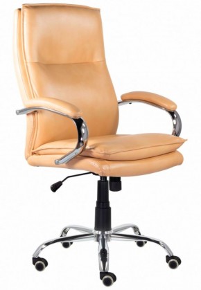 Кресло офисное BRABIX PREMIUM "Cuba EX-542", 532551 в Златоусте - zlatoust.mebel-74.com | фото