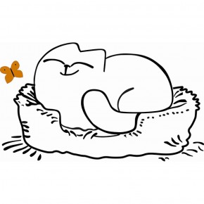 Кровать двухуровневая Кот № 900.1 ЛЕВАЯ (туя светлая/белый) в Златоусте - zlatoust.mebel-74.com | фото