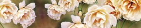 Кухонный фартук Цветы 066 МДФ матовый (3000) Flowers в Златоусте - zlatoust.mebel-74.com | фото