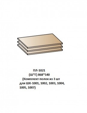 ПЛ-1021 (Комплект полок из 3 шт для ШК-1001, 1002, 1003, 1004, 1005, 1007) в Златоусте - zlatoust.mebel-74.com | фото