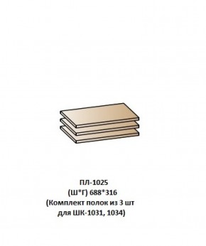ПЛ-1025 (Комплект полок из 3 шт для ШК-1031, 1034) в Златоусте - zlatoust.mebel-74.com | фото