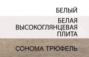 Шкаф 2D/TYP 20A, LINATE ,цвет белый/сонома трюфель в Златоусте - zlatoust.mebel-74.com | фото