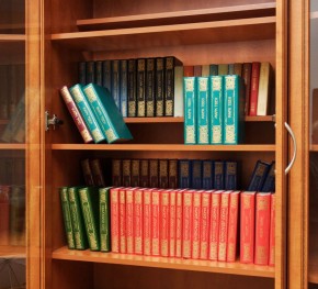 Шкаф для книг арт. 200 в Златоусте - zlatoust.mebel-74.com | фото