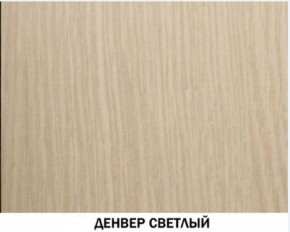 Шкаф для одежды №609 "Инна" Денвер светлый (*без полок) в Златоусте - zlatoust.mebel-74.com | фото