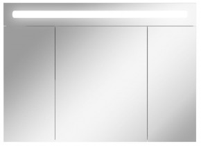 Шкаф-зеркало Аврора 100 с подсветкой LED Домино (DV8012HZ) в Златоусте - zlatoust.mebel-74.com | фото