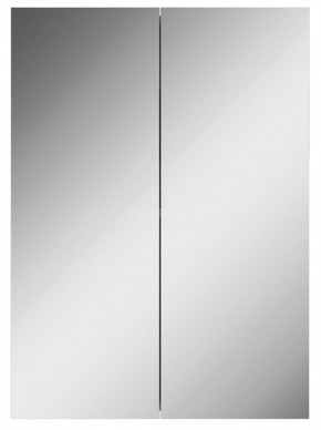 Шкаф-зеркало Норма 50 2 двери АЙСБЕРГ (DA1636HZ) в Златоусте - zlatoust.mebel-74.com | фото