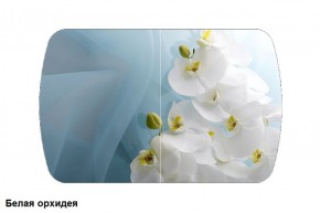 Стол Бостон 900*600 (опоры Брифинг) Стекло/фотопечать Белая Орхидея в Златоусте - zlatoust.mebel-74.com | фото
