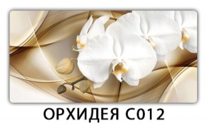Стол раздвижной Трилогия с фотопечатью Цветы R044 в Златоусте - zlatoust.mebel-74.com | фото