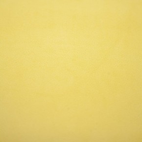 Стул растущий «Вуди» с чехлом 38 Попугаев (Береза, Сан-Леон) в Златоусте - zlatoust.mebel-74.com | фото