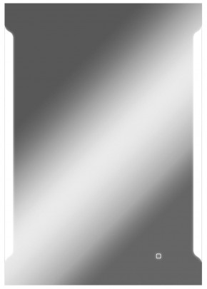 Зеркало Оттава 1000х700 с подсветкой Домино (GL7028Z) в Златоусте - zlatoust.mebel-74.com | фото